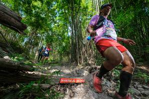 BIB: 
                            <button type="button" onclick="openModal(19393293)" class="btn btn-primary btn-sm float-right btn-popup" data-toggle="modal" data-target=".modal-high-quality">
                        <i class="fas fa-shopping-cart"></i> Add to Cart
                    </button>
                                            <button type="button" onclick="isThisMe(19393293, true)" class="btn btn-success btn-sm float-right btn-popup btn-isme hidden" data-toggle="tooltip" data-placement="bottom" title="นี่คือรูปของคุณใช่ไหม คลิกที่นี่เพื่อเอาเข้าอัลบั้ม">
                        <i class="fas fa-plus"></i> Add to album
                    </button>
                    <button type="button" onclick="isThisMe(19393293, false)" class="btn btn-warning btn-sm float-right btn-popup btn-isnotme hidden">
                        <i class="fas fa-ban"></i> Remove from album
                    </button>